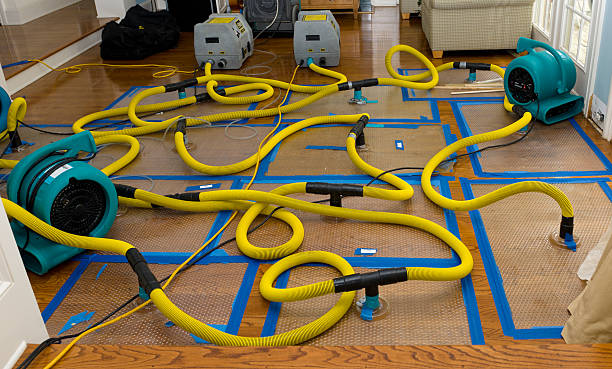 Professional Crawl Space Water Removal technician working in Buhl, AL